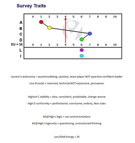 culture index results explained|A Guide to Culture Index Personality Types & Your Results.